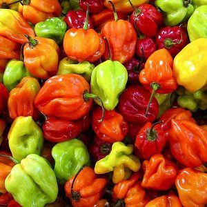 Seven Mile Heat Scotch Bonnet (5oz)